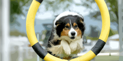 Jump-starting Stalled Agile Transformations: How to Scale 1% at a Time