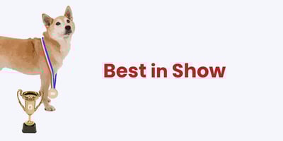 Not to Brag…We’ve Won Some Awards Recently! But It’s Our Customers Who Really Make Us Winners