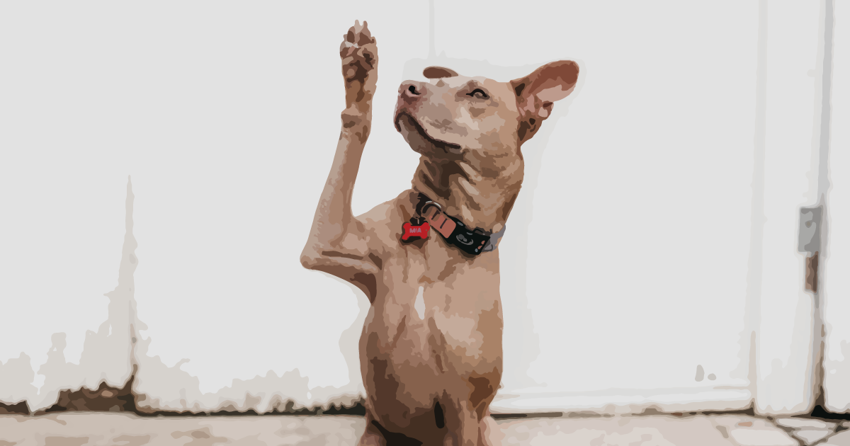 Your Questions Answered! Atlassian License Management FAQ